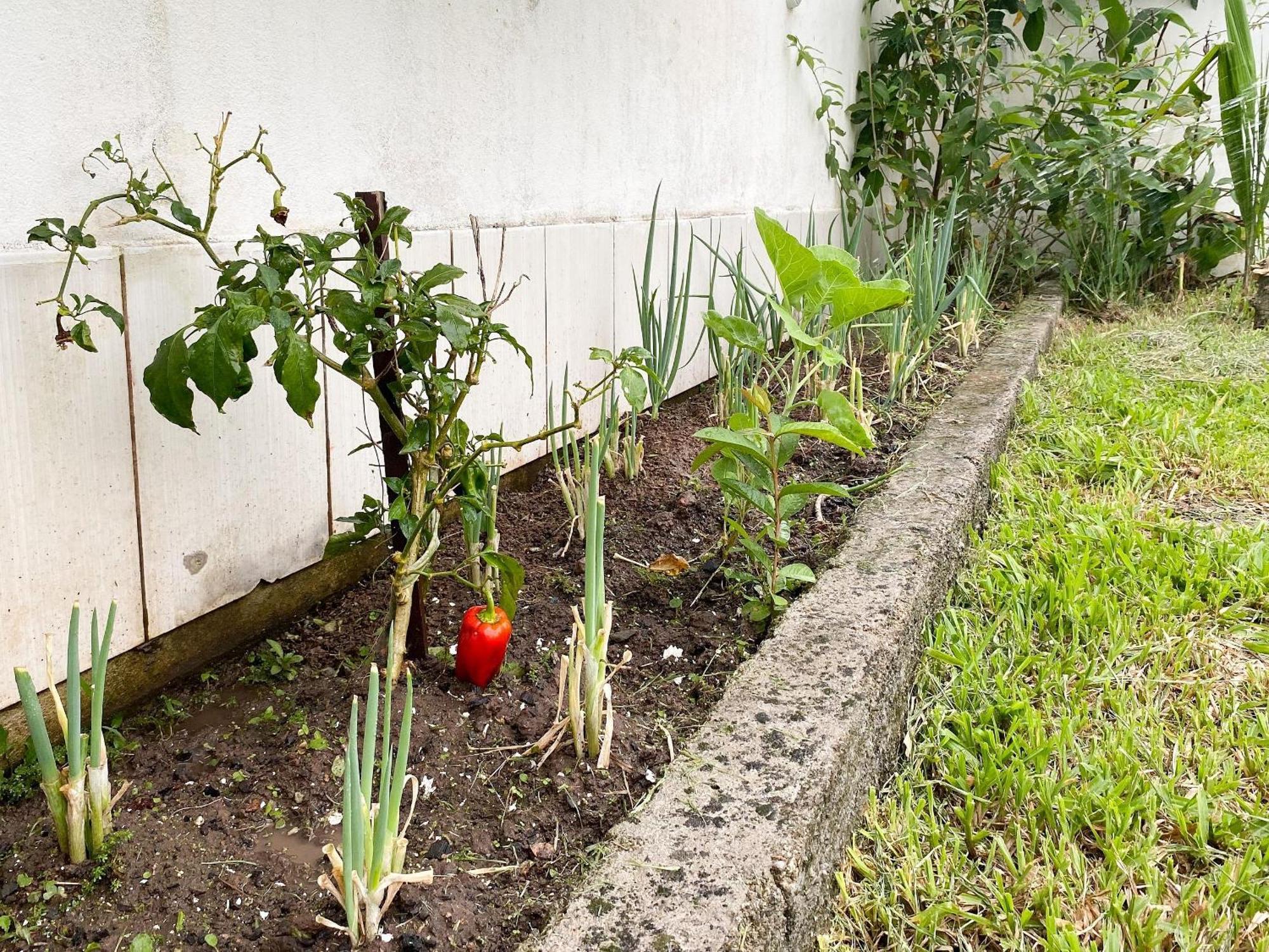 Residencial Verdes Mares Bombinhas Ngoại thất bức ảnh